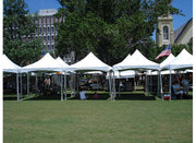 10x10 high peak frame tent.  Great for festivals, parties and special events